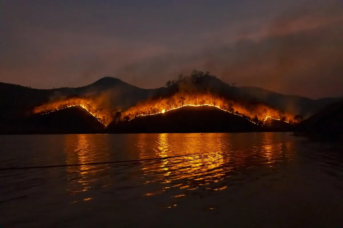 Canada Wildfire Season Preparation: A Province-by-Province Guide for Homeowners