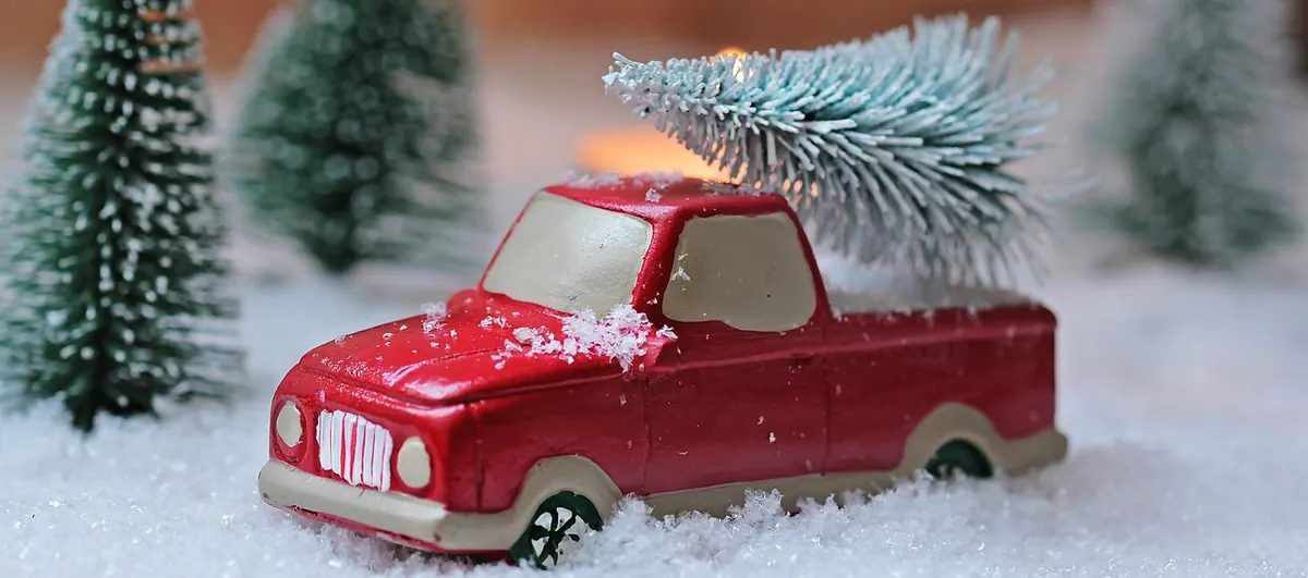 Canadian Winter Emergency Kit Checklist: What to Keep in Your Car Before the First Snow